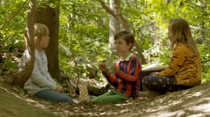 Metsäpiilon kolmikko (S): 17.05.2016 18.30