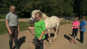 Tikkumäen talli (viittomakielinen ohjelma): 19.05.2016 08.01