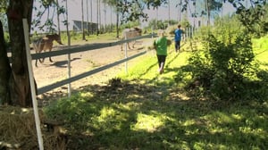 Tikkumäen talli (viittomakielinen ohjelma): 19.05.2016 08.03