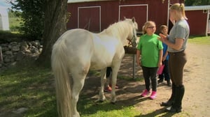 Tikkumäen talli (viittomakielinen ohjelma): 19.05.2016 08.02