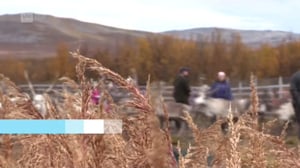 Oddasat: 15.09.2016 20.45