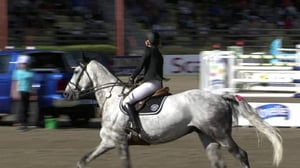 Ratsastusta: Esteratsastuksen GP: 11.09.2016 17.25