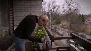 Pisara: 04.06.2016 15.10