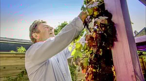 Rakkaudesta puutarhaan: 31.05.2016 19.00