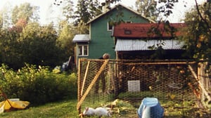 Kell' onni on: Omenapuiden varjossa: 10.10.2016 01.00