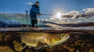 Seikkailu linssin läpi: 28.11.2016 10.30