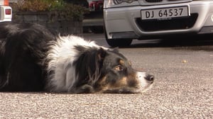 Norjaa ristiin rastiin: 01.07.2016 20.25