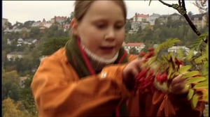 Marjamatka: 30.09.2016 18.00