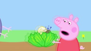 Pipsa Possu (S): 15.06.2016 18.00