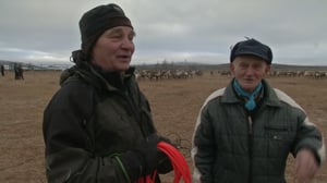 Oddasat: 28.10.2016 20.45