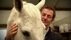 Ratsastuksen maailma: 05.08.2016 15.35