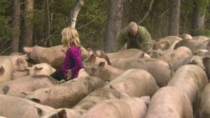 Norjaa ristiin rastiin: 05.10.2016 21.56