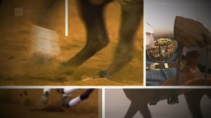 Ratsastuksen maailma: 09.10.2016 15.50