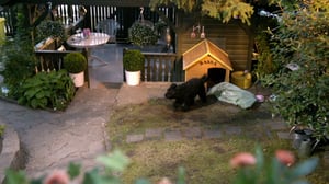 Kasper ja Petra (S): 06.07.2016 18.00