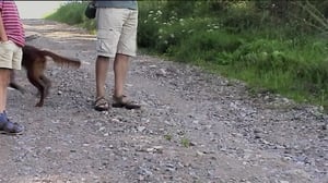 Wilma Vikkelä: 01.09.2016 18.00