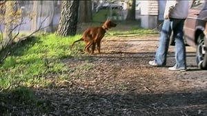 Wilma Vikkelä: 11.08.2016 18.00