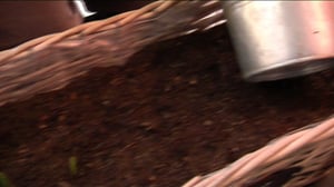 Minusta tulee isoveli (S): 27.06.2016 18.30