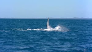 Löytöretkiä maailmaan: 07.10.2016 19.45