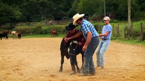Jarkko ja kuuro Amerikka: 18.05.2016 20.01