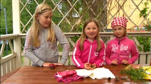 Leikitään: Kesäleikit: 20.06.2016 07.09