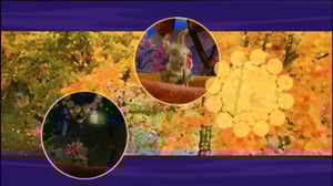 Neposen seikkailut (S): 13.05.2016 18.00