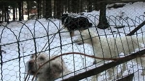 Wilma Vikkelä: 28.07.2016 18.00