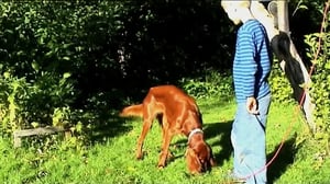 Wilma Vikkelä: 08.09.2016 18.00