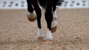 Ratsastusta: Horse Show: 22.10.2016 14.35