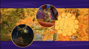 Neposen seikkailut (S): 27.05.2016 18.00