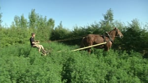 Tanskalainen maajussi: 09.06.2016 12.30