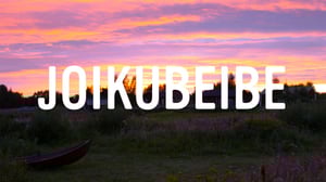 Yle FOLK: Suomen katusoittokeisari: 31.10.2016 10.00