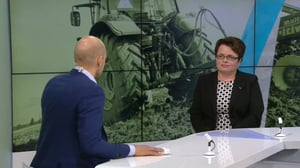 Päivän kasvo: 14.06.2016 18.20