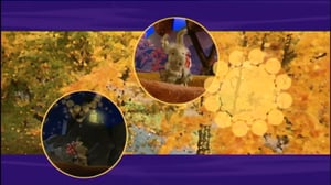 Neposen seikkailut (S): 17.06.2016 18.00