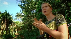 Diwai Meri - luonnontutkija: 31.10.2016 11.30