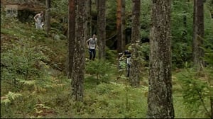 Suunnistuksen MM: Pitkät matkat: 25.08.2016 18.00