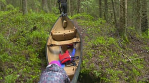 Korpijengi: Äiti, tuo pizzaa!: 04.08.2016 11.00