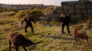 Sudenverinen (7): 04.07.2016 11.00