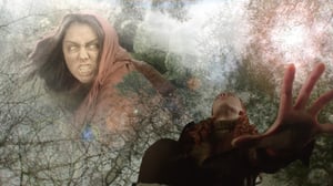 Sudenverinen (7): 05.07.2016 11.00