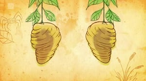 Ötökät (S): 21.06.2016 08.35