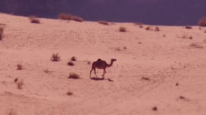 Pieni suuri maailma: 11.10.2016 19.54