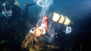 Vedenalainen Islanti (S): 29.11.2016 17.00