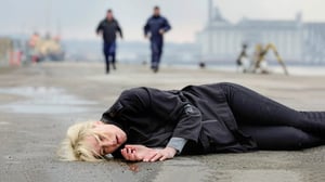 Dicte (16): 05.08.2016 21.05