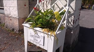 Yle Uutiset Uusimaa: Yle Uutiset Uusimaa 20-05-2016 klo 17-06: 20.05.2016 18.31