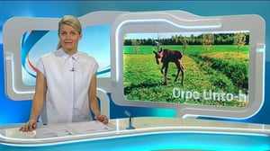 Yle Uutiset Häme: Yle Uutiset Häme 23-05-2016 Klo 18-22: 23.05.2016 17.41