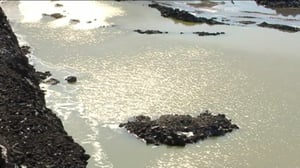 Yle Uutiset Itä-Suomi: Yle Uutiset Itä-Suomi 25-05-2016 Klo 17-06: 25.05.2016 16.50