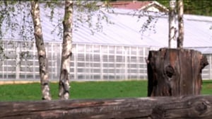 Yle Uutiset Lappi: Yle Uutiset Lappi 26-05-2016 Klo 17-06: 26.05.2016 16.37