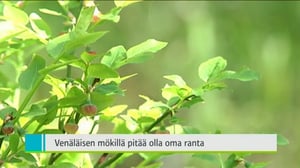 Yle Uutiset Itä-Suomi: Yle Uutiset Itä-Suomi 26-05-2016 Klo 18-22: 26.05.2016 17.41