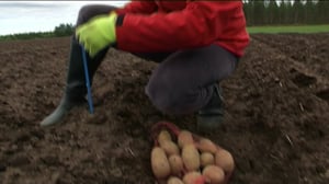 Yle Uutiset Pohjois-Suomi: Yle Uutiset Pohjois-Suomi 27-05-2016 Klo 17-06: 27.05.2016 16.54