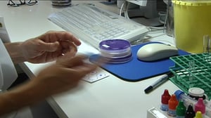 Yle Uutiset Uusimaa: Yle Uutiset Uusimaa 31-05-2016 klo 17-04: 31.05.2016 17.17