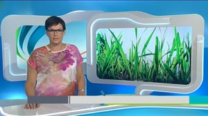 Yle Uutiset Keski-Suomi: Yle Uutiset Keski-Suomi 31-05-2016 Klo 18-22: 31.05.2016 17.52